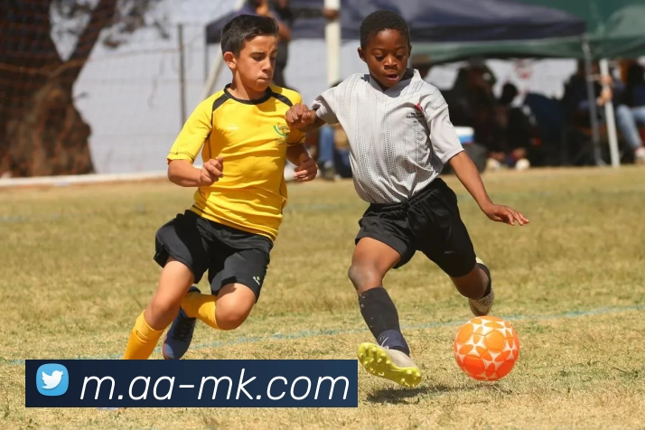 MK体育APP 封面图